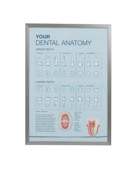 Dental Poster  Generic